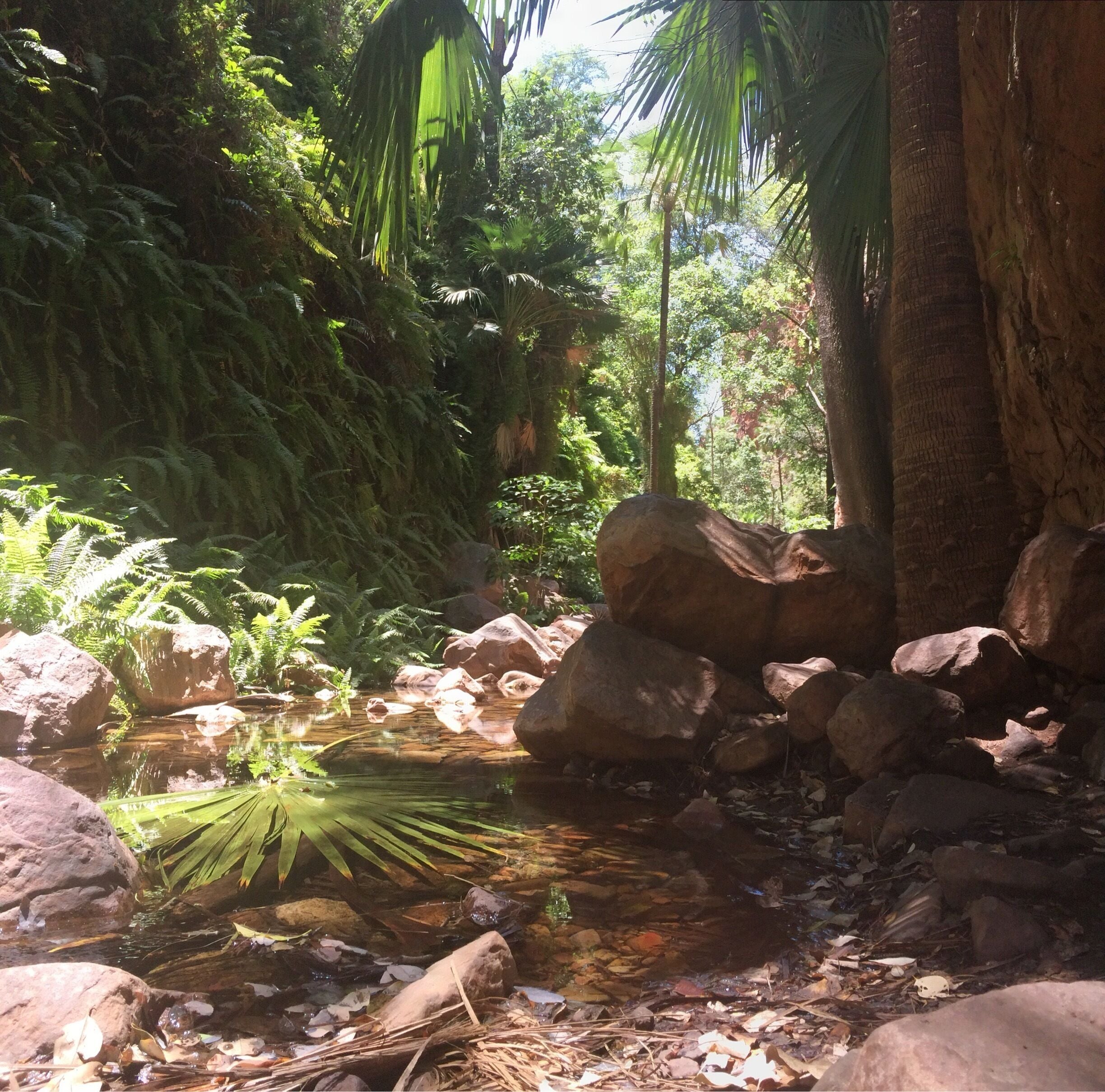 Walk through El Questro Gorge, it takes a couple of hours of challenging walk, a bit of easy climbing and swimming in refreshing waters! Love this place! The road to get there is a corrugated and sandy 4x4 track, one river crossing. 