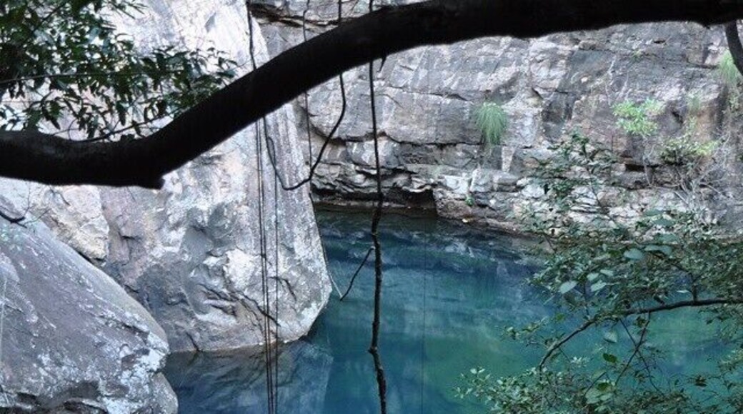 You pass this stunning torquoise pool on the walk to Emma Gorge at El Questro on the Gibb River Road. This shot was taken just before sunset and the colour is true to life!
We hiked in late afternoon, finished the day swimming under the waterfall as the light disappeared behind the gorge walls and we came back just after sunset with last light (We always hike with head torches). On our walk out we were serenaded by a symphony of frogs from different species! #blue