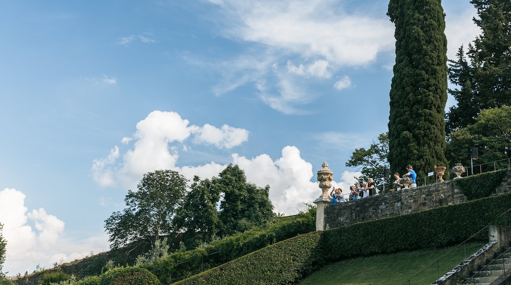 Oltrarno featuring a park