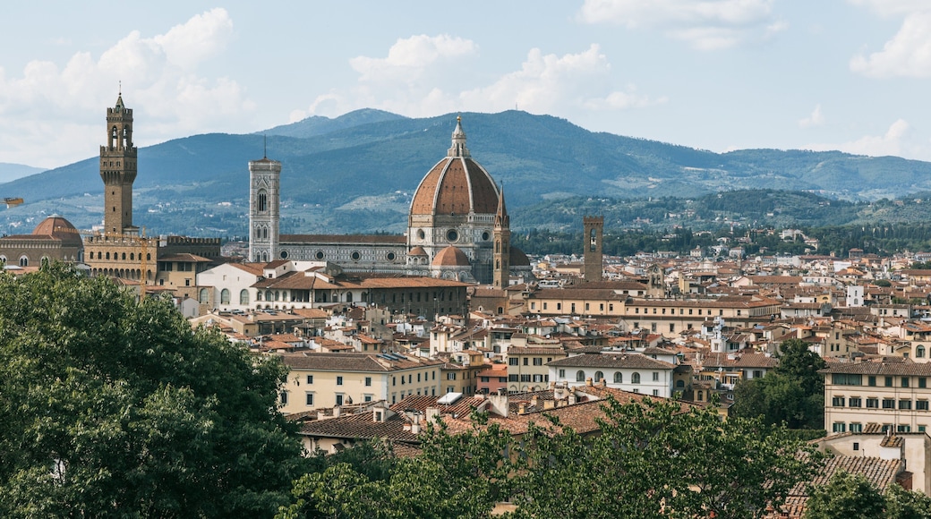 Oltrarno featuring a city and landscape views
