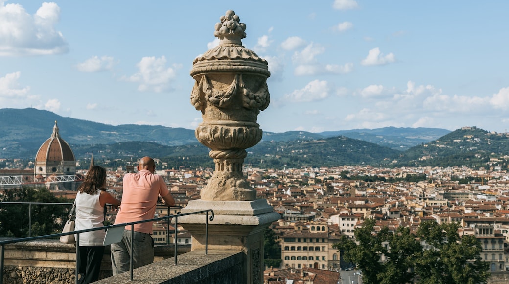 Oltrarno featuring views, heritage elements and landscape views