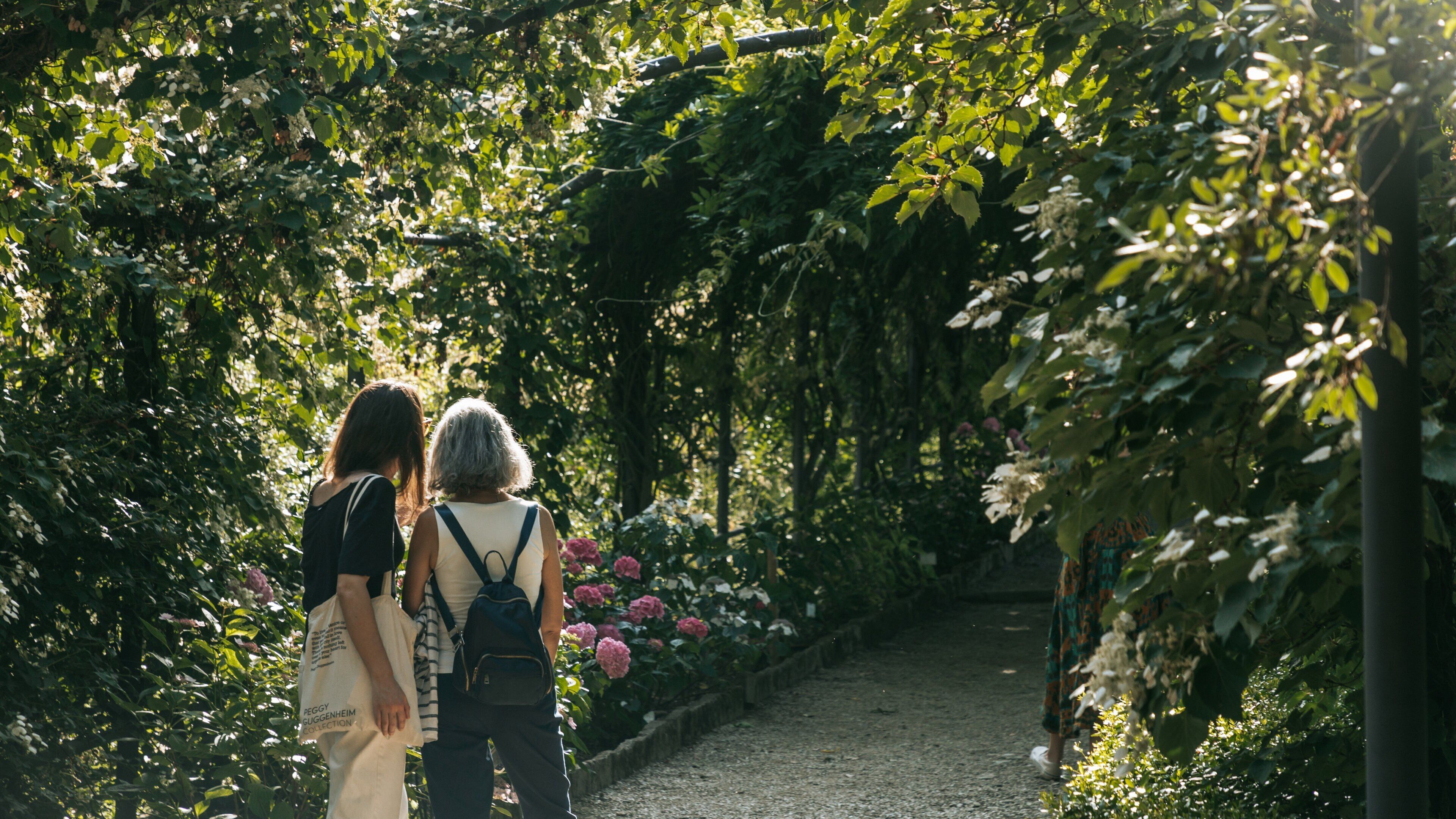 Oltrarno which includes wildflowers and a garden as well as a couple