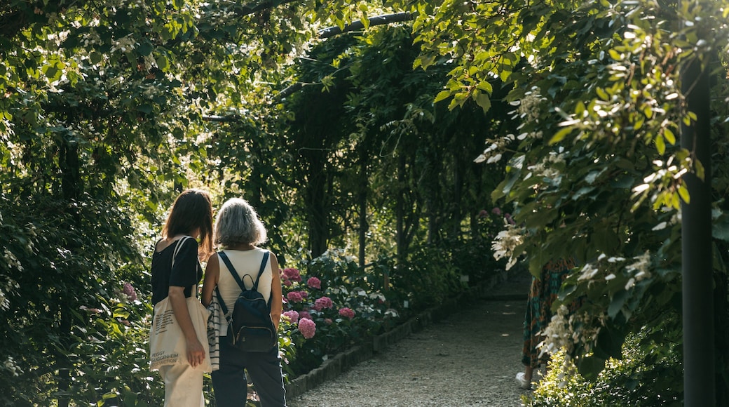 Oltrarno which includes wildflowers and a garden as well as a couple