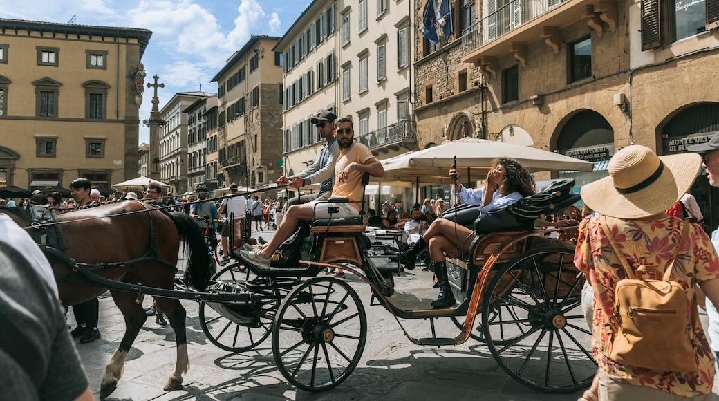 Duomo which includes horseriding, a city and street scenes