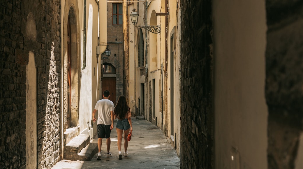 Duomo featuring street scenes as well as a couple