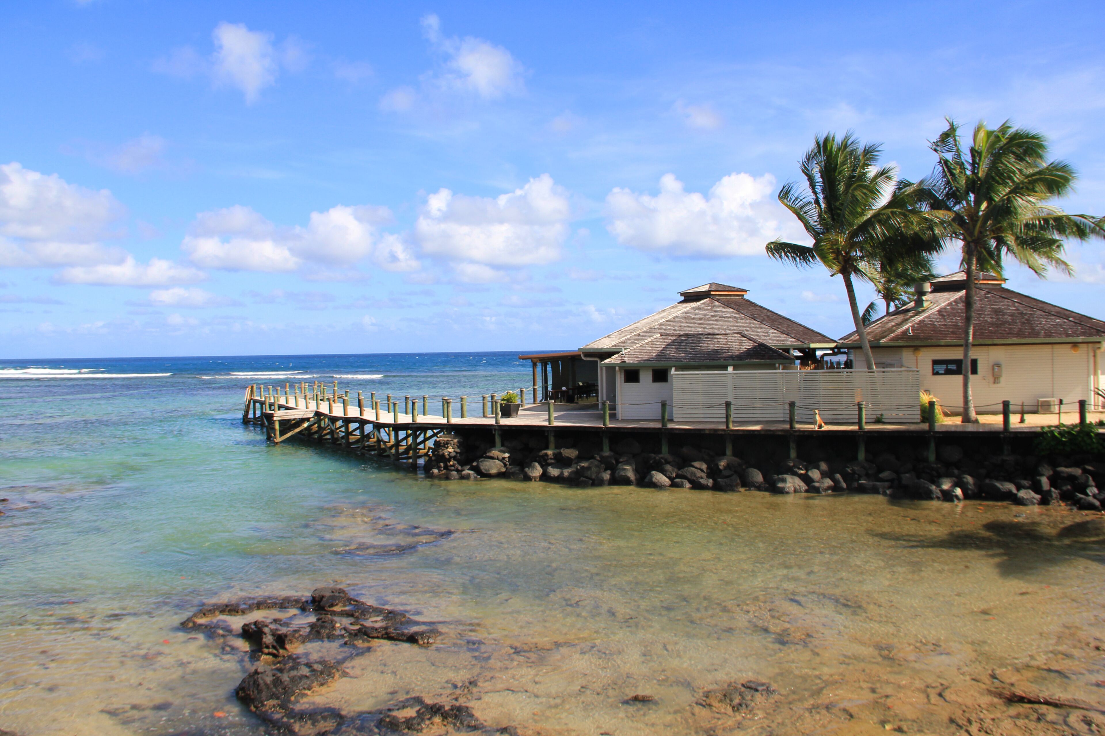 A coastal scene with a wooden pier leading to a white building with a thatched roof, palm trees, and clear blue ocean.