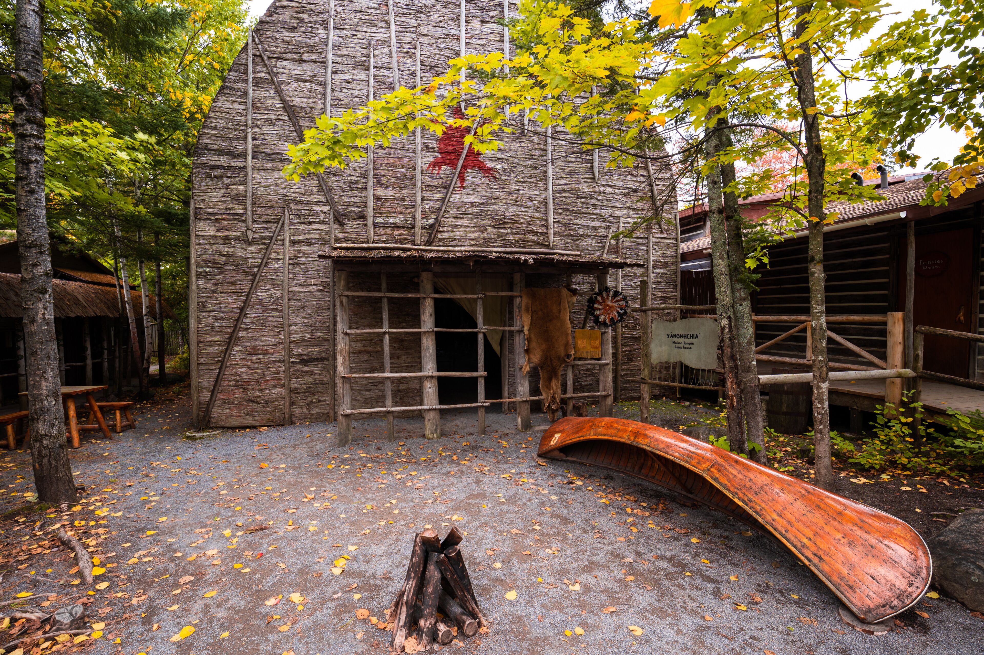 A rustic wooden building with a thatched roof, surrounded by trees and a fallen log.