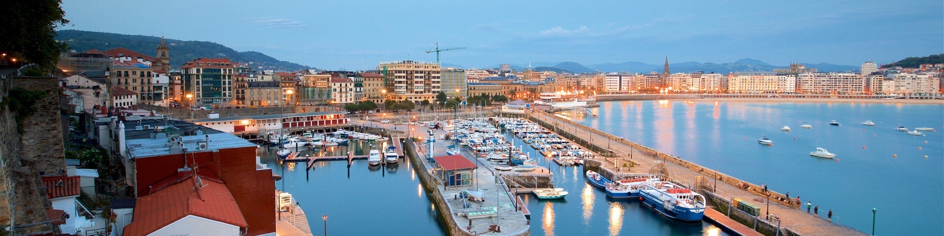San Sebastian featuring a coastal town, a bay or harbor and a city
