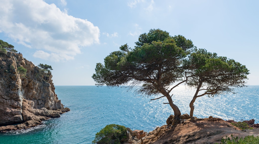 Coast Brave (Costa Brava) - Girona (Spain)