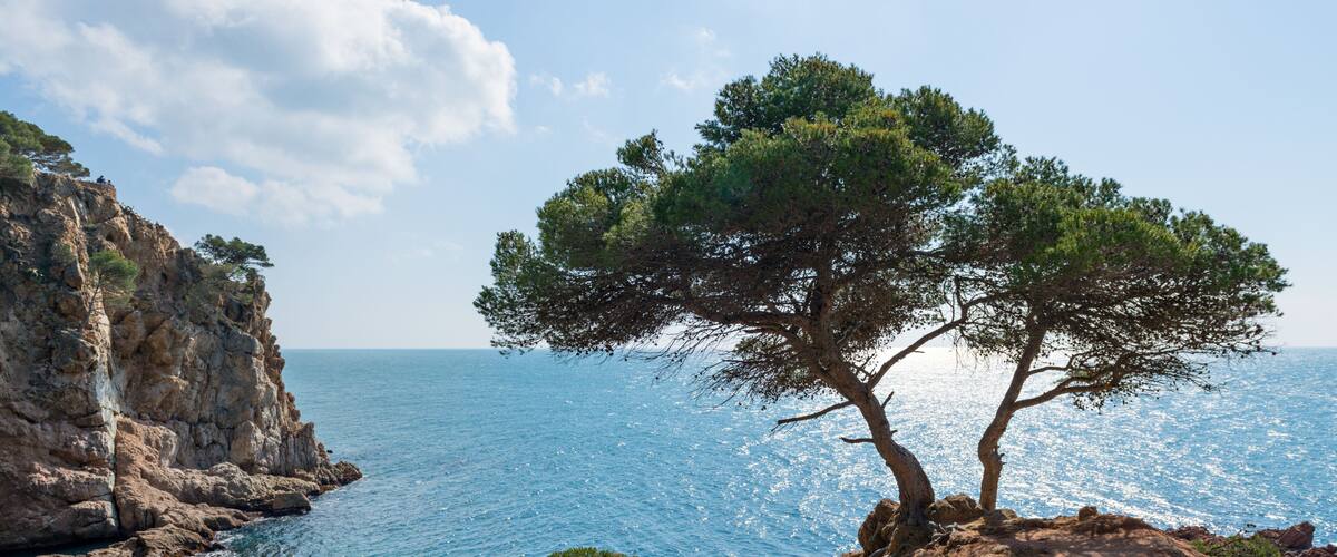 Coast Brave (Costa Brava) - Girona (Spain)