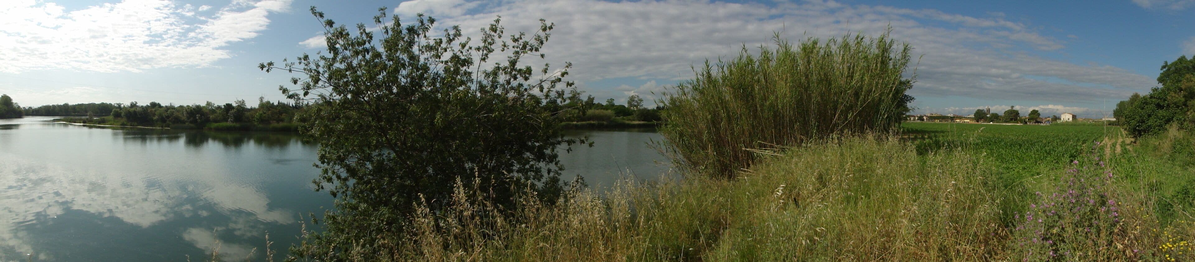 This is a a photo of a natural area in Catalonia, Spain, with id: