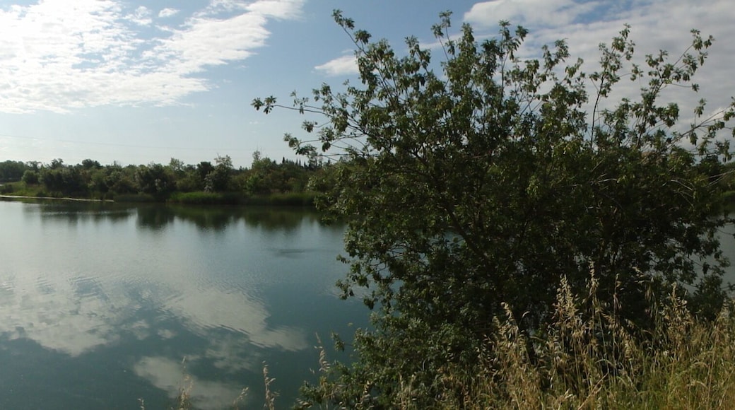 This is a a photo of a natural area in Catalonia, Spain, with id:
