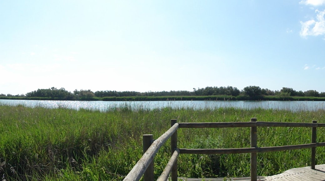 This is a a photo of a natural area in Catalonia, Spain, with id: