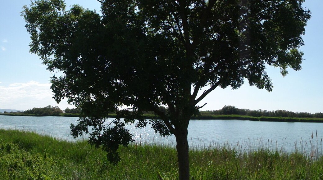 This is a a photo of a natural area in Catalonia, Spain, with id: