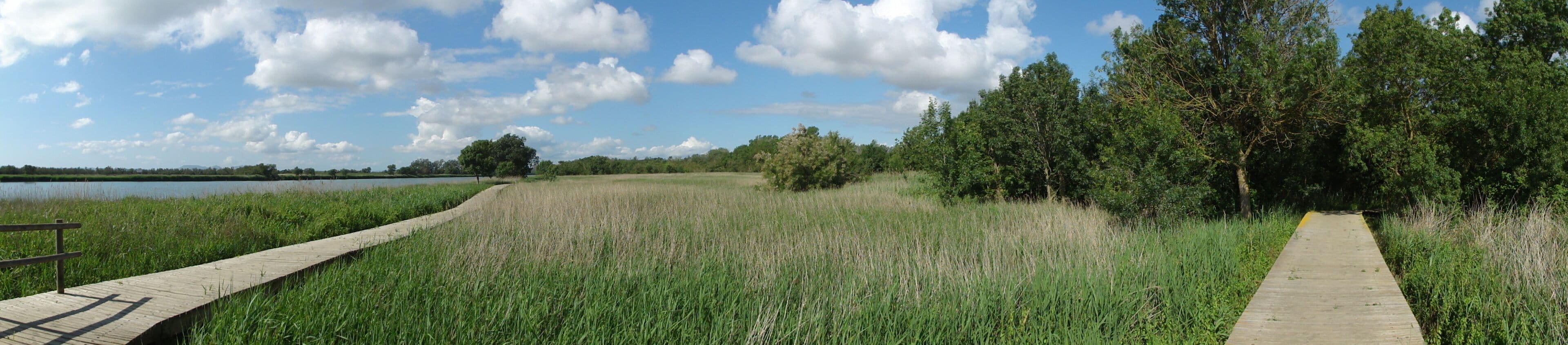 This is a a photo of a natural area in Catalonia, Spain, with id: