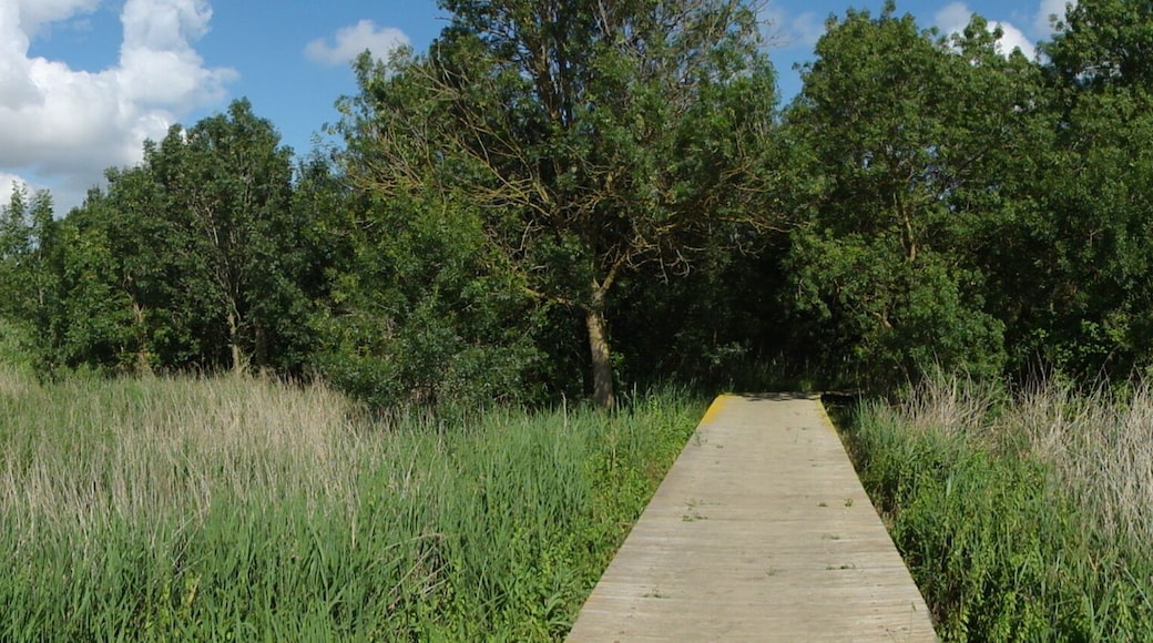 This is a a photo of a natural area in Catalonia, Spain, with id:
