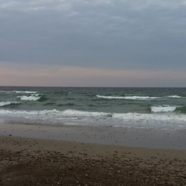 The beach at Duxbury just opened to residents to drive on after the plovers finally flew away.