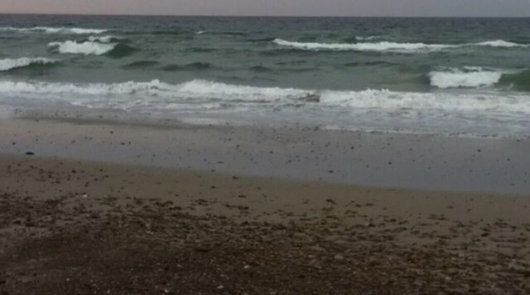 The beach at Duxbury just opened to residents to drive on after the plovers finally flew away.