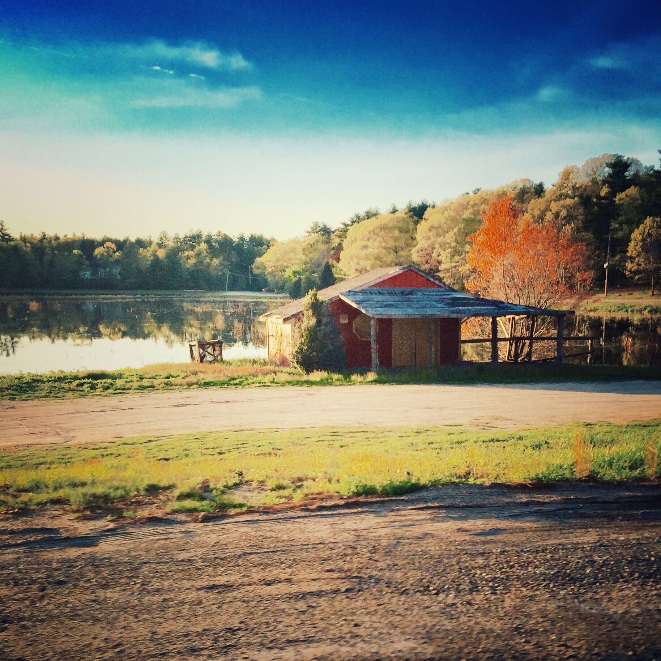 Fall on the cranberry bogs. Trees starting to change color and the bog is flooded to harvest it soon 