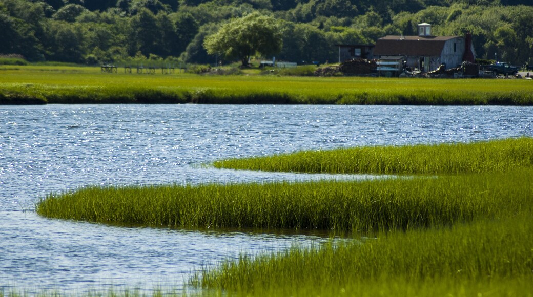 The south river in Marshfield Massachusetts surrounded by salt marsh grass with trees and houses in background.; Shutterstock ID 362517629; Purchase Order: -