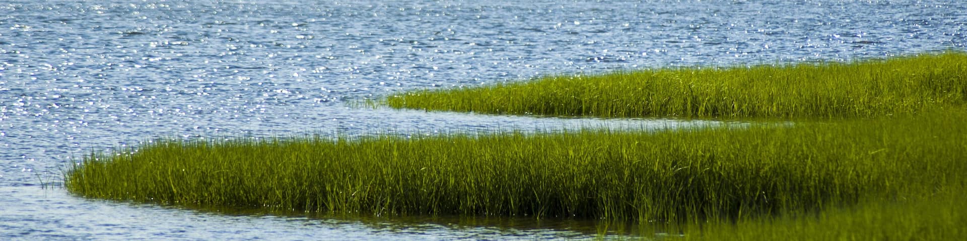 The south river in Marshfield Massachusetts surrounded by salt marsh grass with trees and houses in background.; Shutterstock ID 362517629; Purchase Order: -