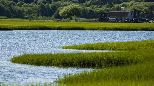 マーシュフィールド