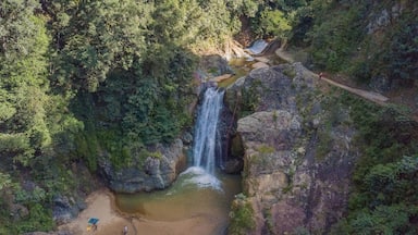 A waterfall cascading into a river surrounded by dense forest.