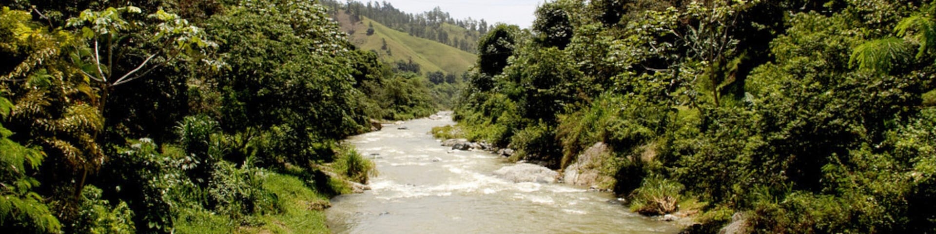 Jarabacoa which includes landscape views, rainforest and a river or creek