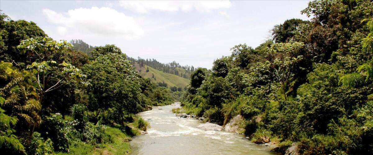 Jarabacoa featuring rainforest, a river or creek and landscape views