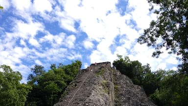 Una gran pirámide de piedra antigua con una escalera que lleva a la cima, rodeada de árboles verdes y frondosos.