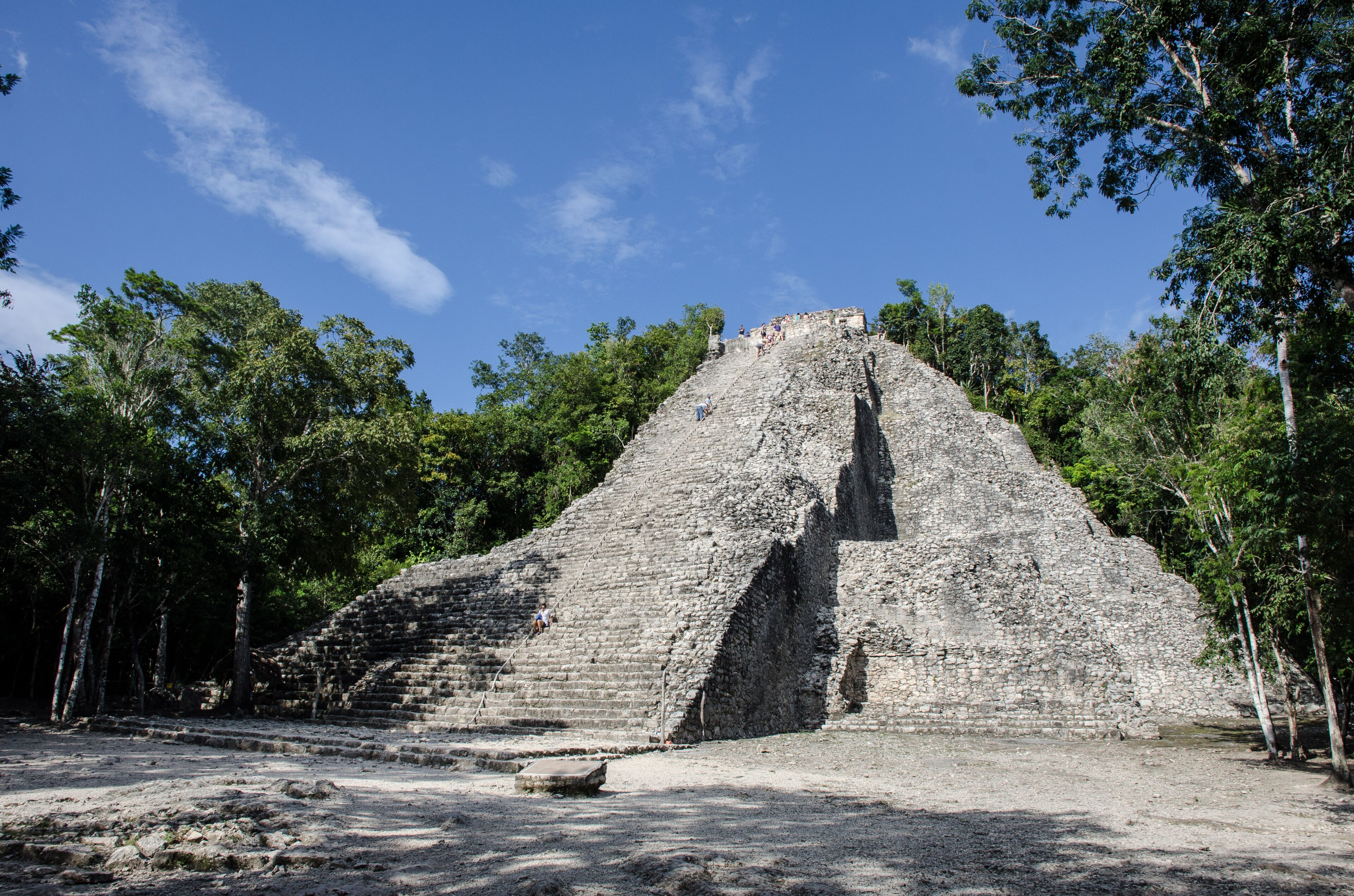 Cobá