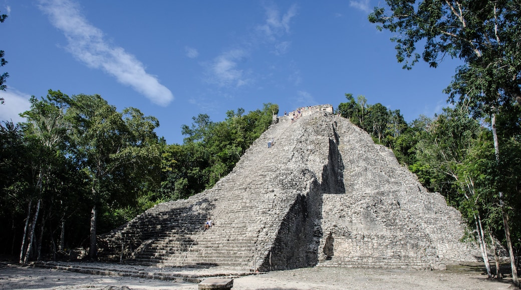 Cobá