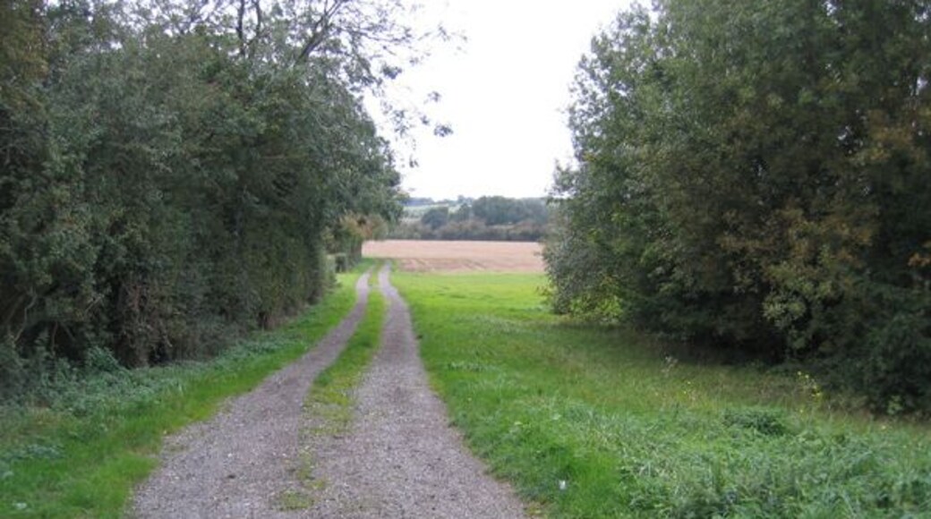 View from Campton Road, Meppershall, Beds. the end of Meppershall Airfield's grass runway is on the right.