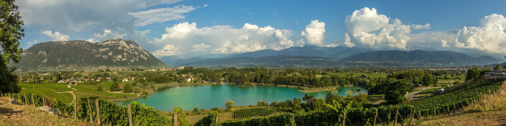 A lake surrounded by vineyards, mountains, and a clear sky.