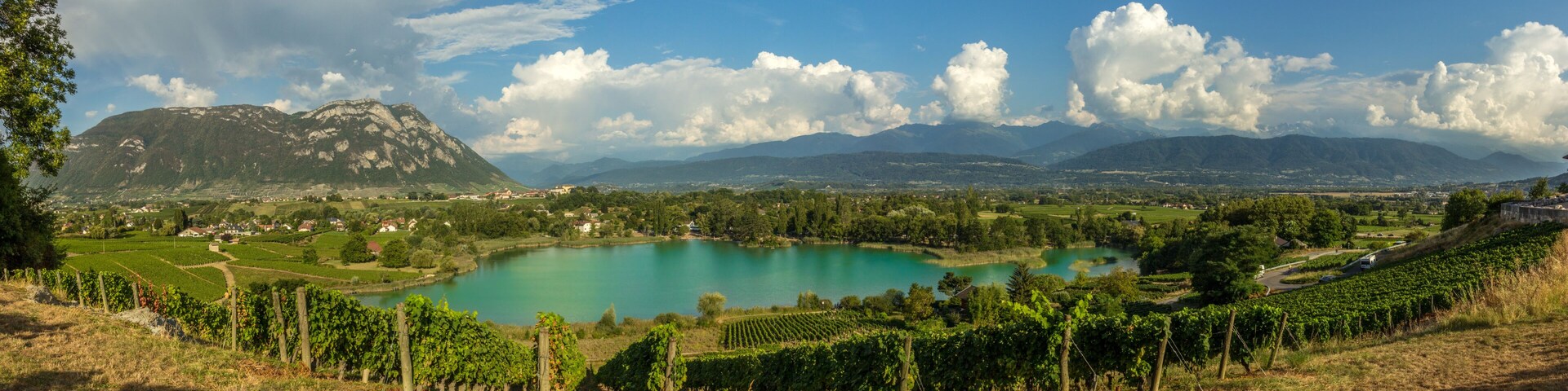 A lake surrounded by vineyards, mountains, and a clear sky.