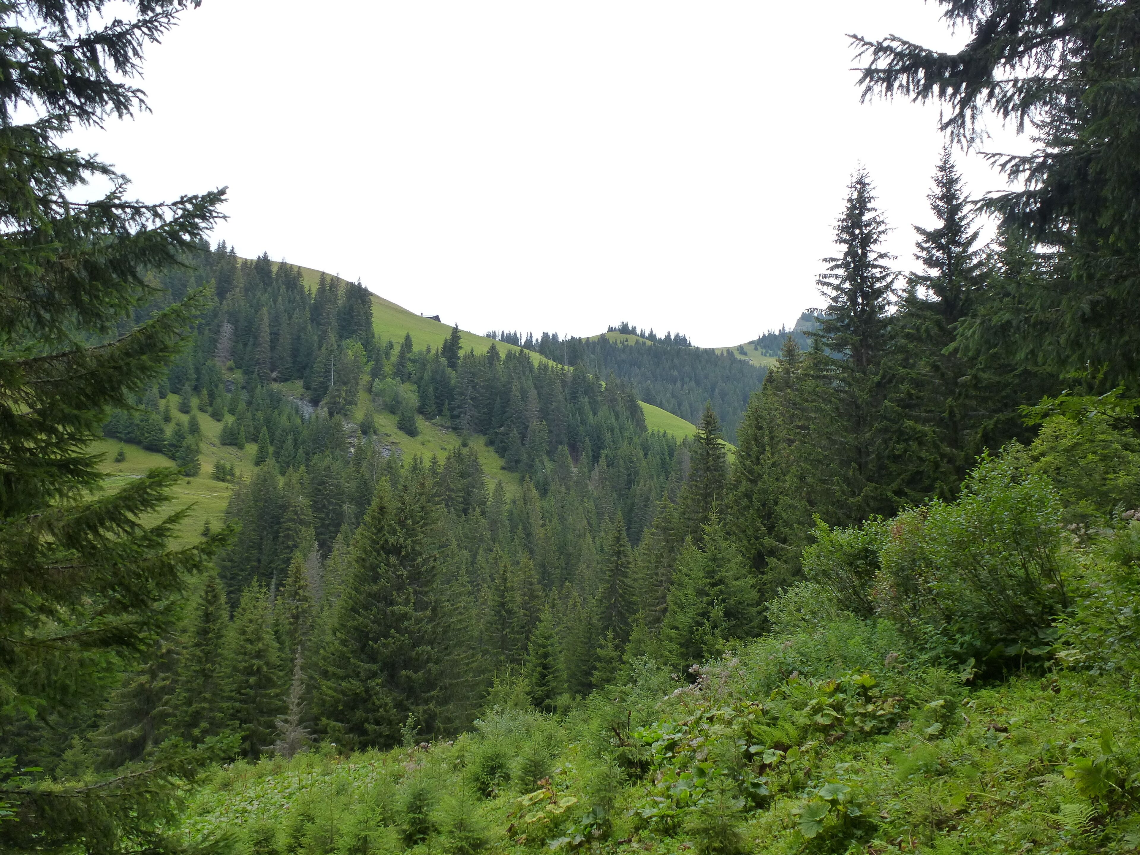 notre dame de bellecombe