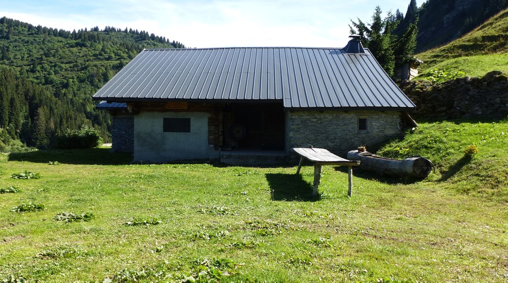 chalet des saisies