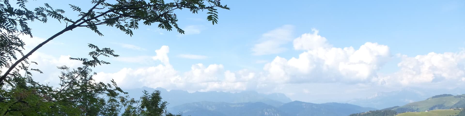 A mountainous landscape with dense forest and a valley.
