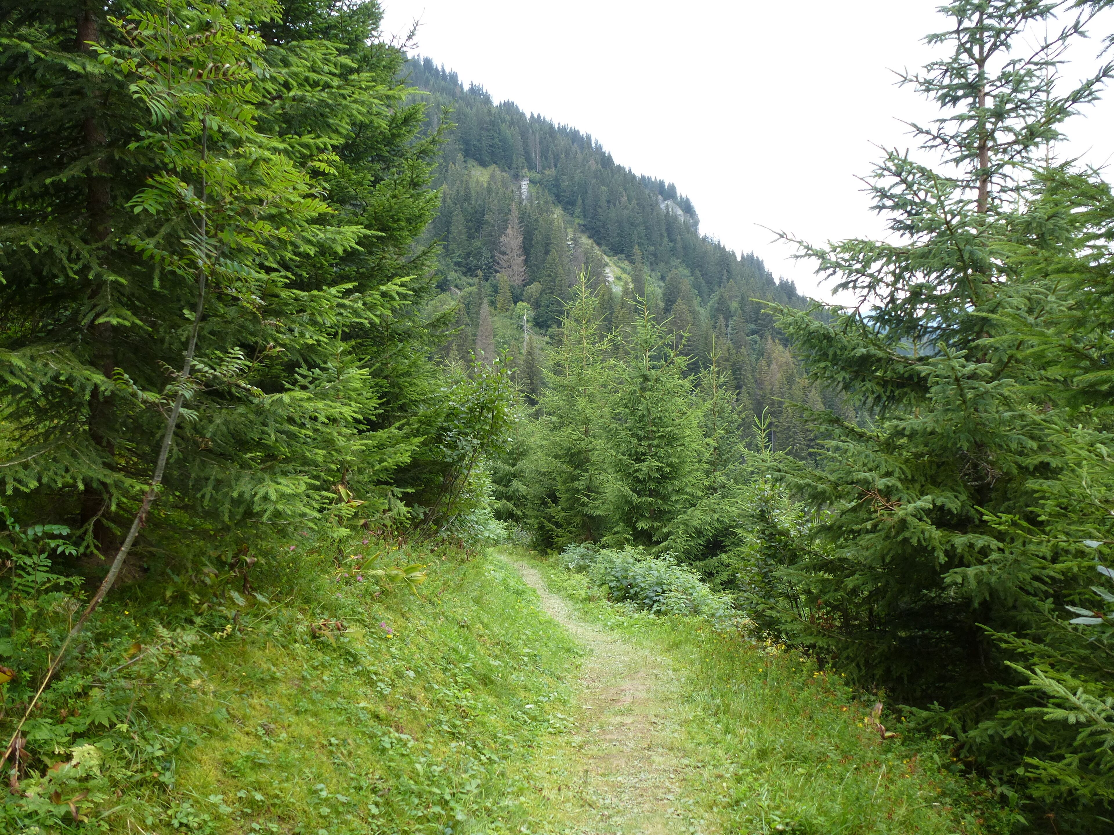 sentier de notre dame de bellecombe