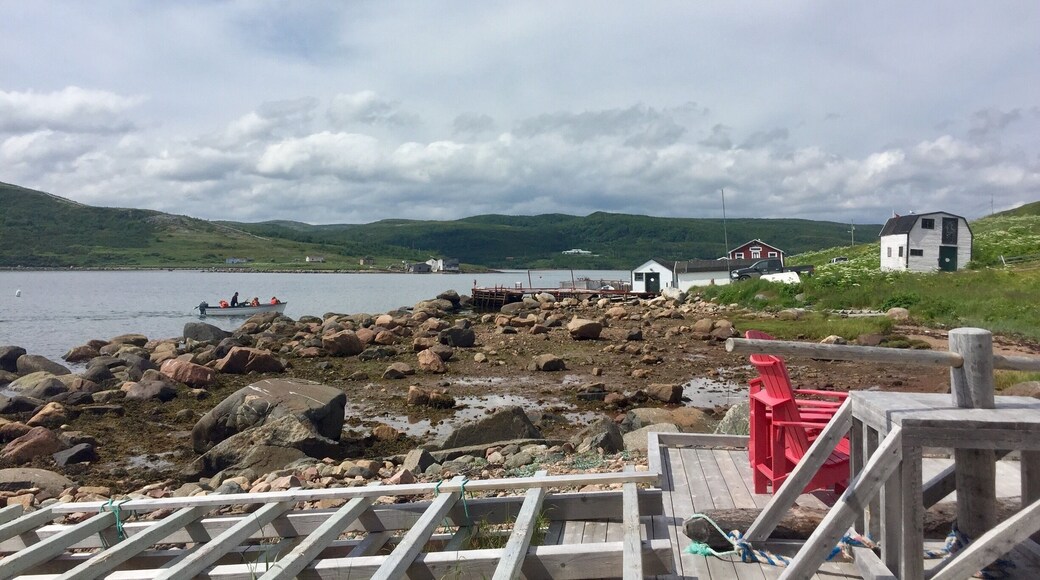 Red Chairs at the visitor center. This site is all about preserving the history of the whaling activity that happened here in the 1600's.