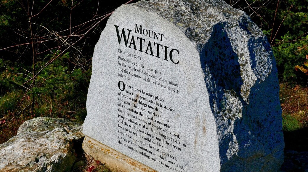 Nicely said #InStone