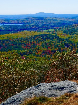 Fall