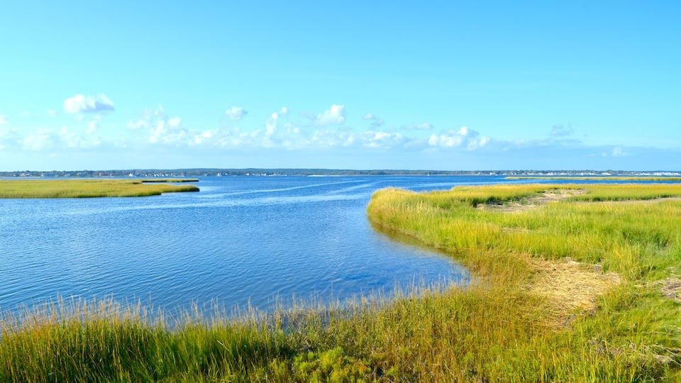 A calm river with grassy banks and a clear blue sky.