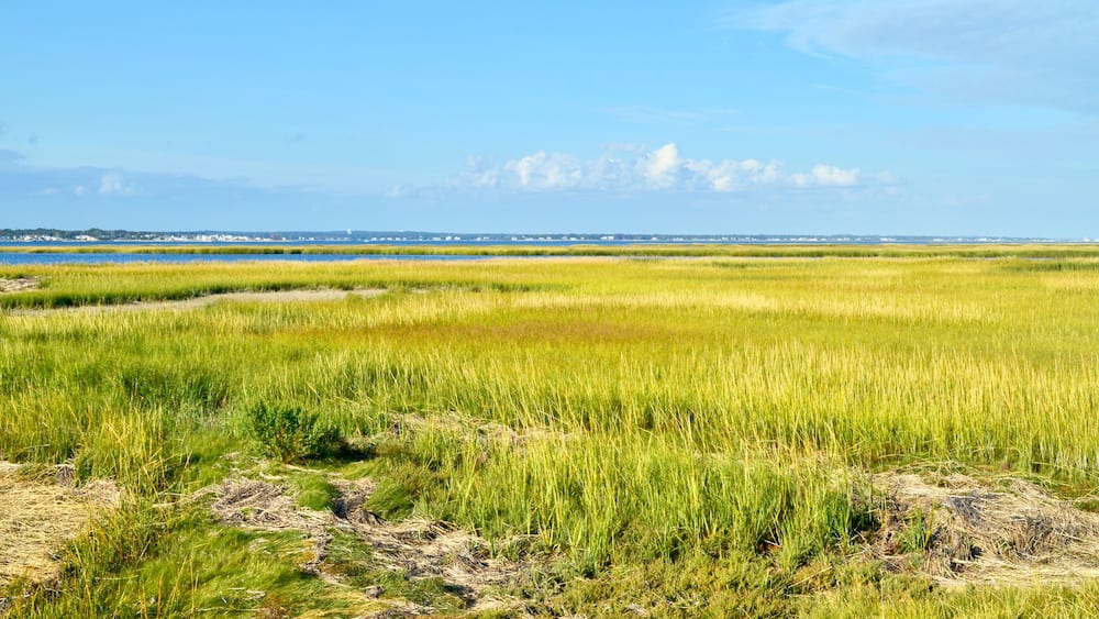 A sweeping expanse of salt marsh on Long Island's south shore. Westhampton Beach, NY. Copy space.
