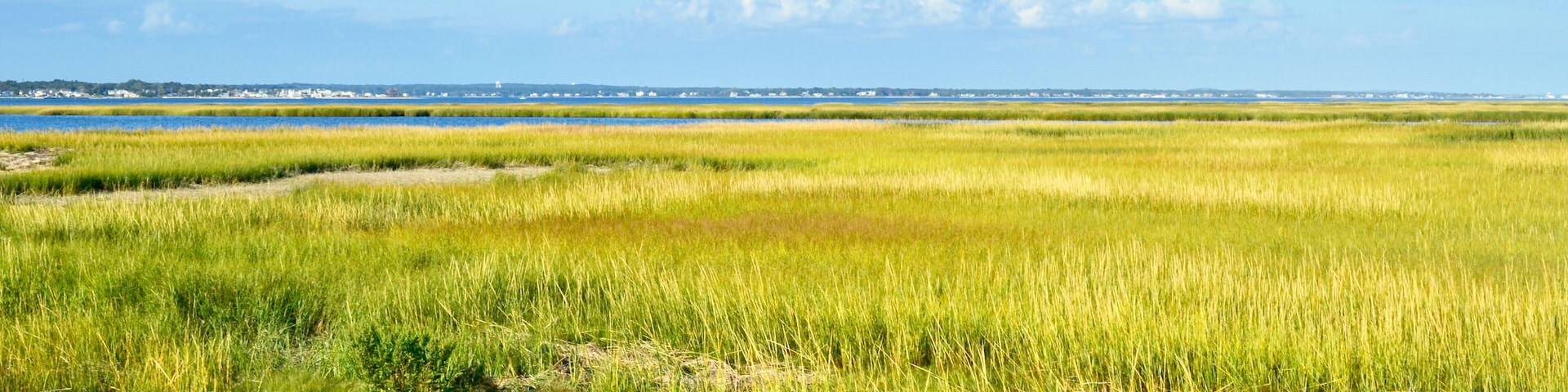 A sweeping expanse of salt marsh on Long Island's south shore. Westhampton Beach, NY. Copy space.
