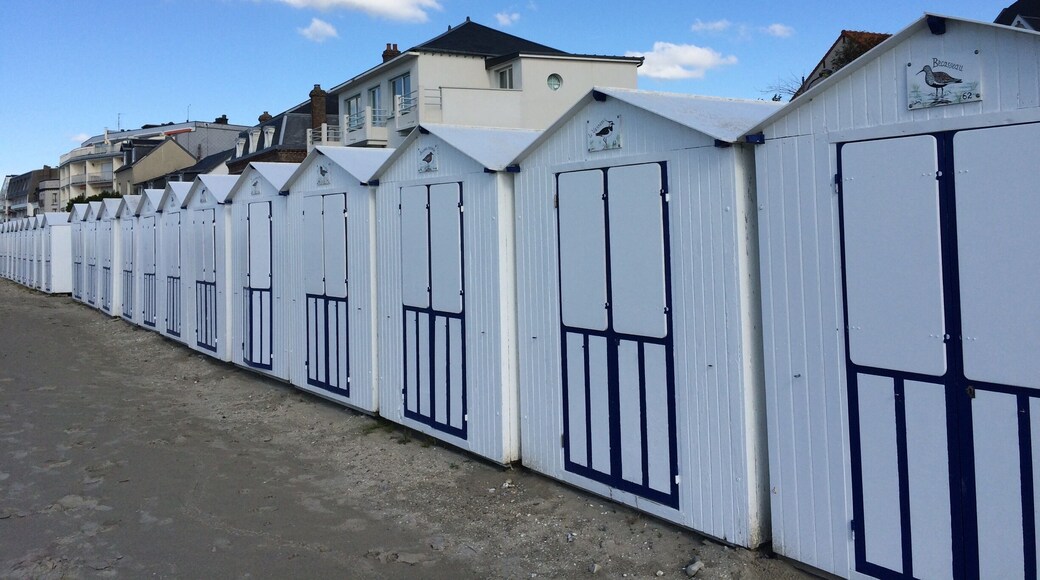 Beach huts along the beach promenade.