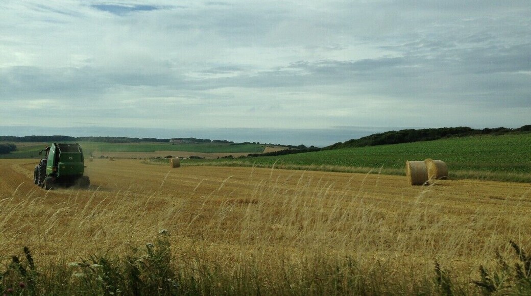 The beautiful countryside of the Somme region in Picardy, France is where you need to go if you want to just enjoy your family.