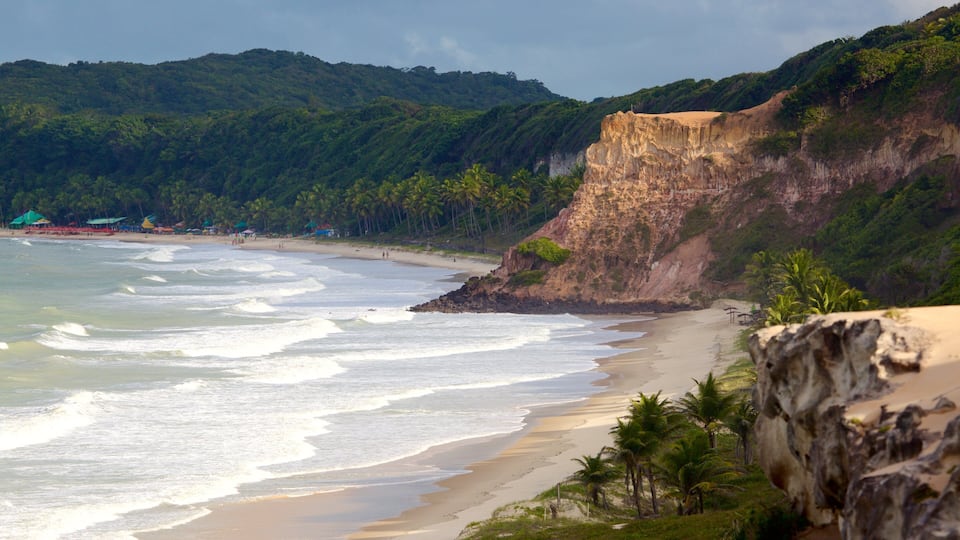 A beach with waves, palm trees, and a cliff.