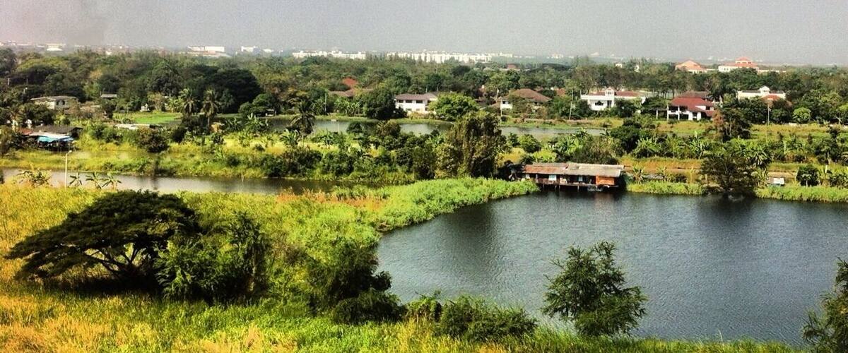The 🎁view out the 🏦window ... 🐥Birds chirping, 🐔roosters crowing, ✈️planes landing, watching the 🚣locals throw net to 🐟🐟🎣fish in the pond. 🍃🌿🌾in #Thailandtoday