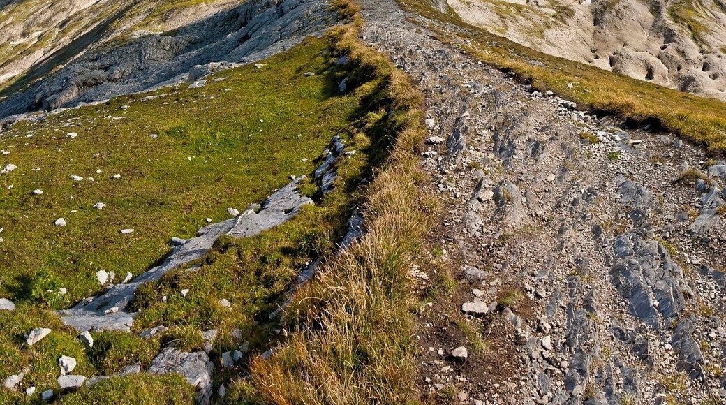 August 2011
Schladminger Tauern
View from Steyrische Kalkspitze (alt. 2.459 m) to Lungauer Kalkspitze (alt. 2.471 m)
Dolomite part of these mountains